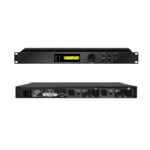 D-D6573 suppresseur de larsen automatique numérique DSPPA-min