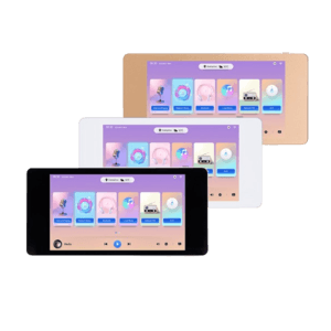 DM838II - 2×20W WiFi Stereo Réseau Amplificateur de Music avec SD-Bluetooth-AUX-AirPlay-DLNA DSPPA Prix Maroc