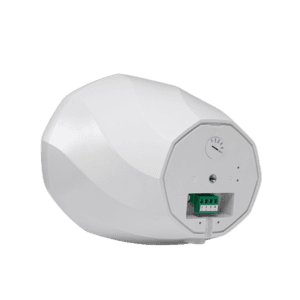 DSP5053 - Haut-parleur de Paysage Résistant aux Intempéries de 30 W - DSPPA Prix Maroc