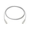 R875978 - CORDON 2M CAT6 u/utp - R&M Prix Maroc
